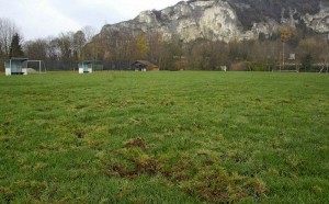 Rasenplatz im Herbst 2012
